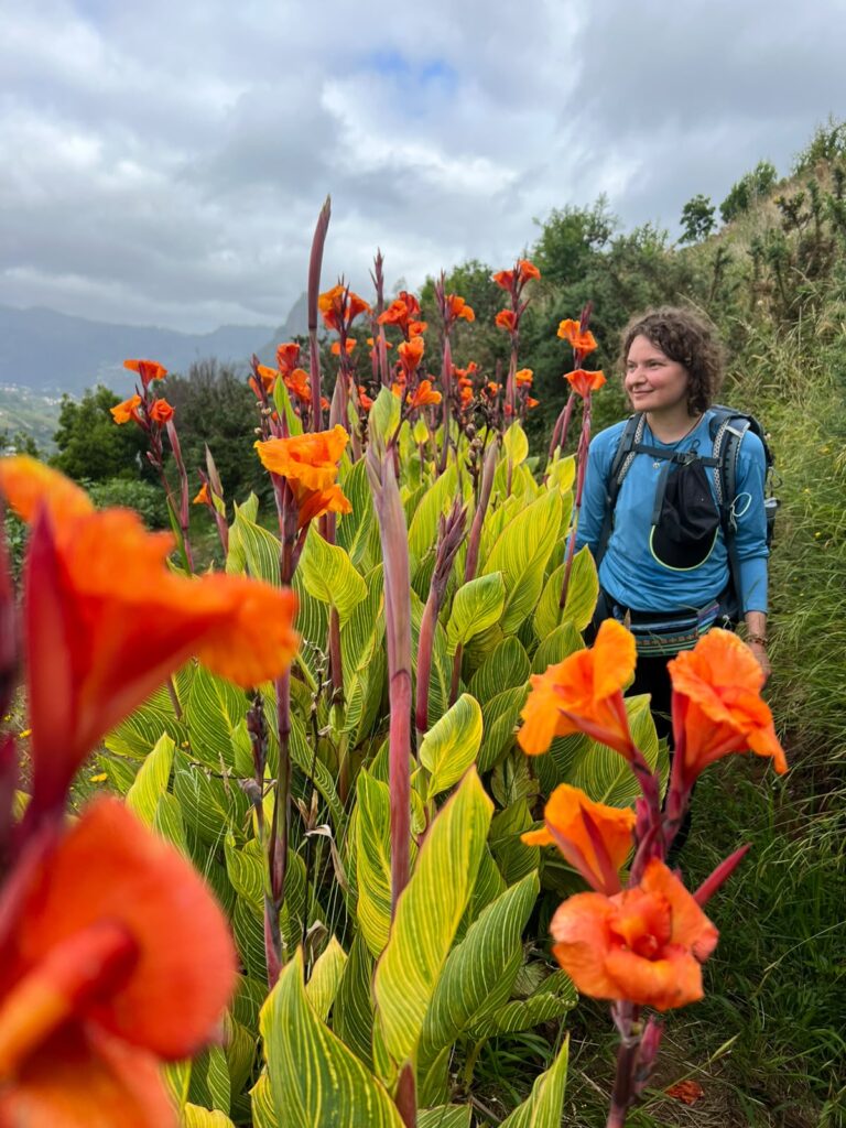 Madeira_gallery_9